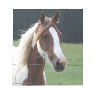 Beautiful Paint Pinto Horse at fence Notepad