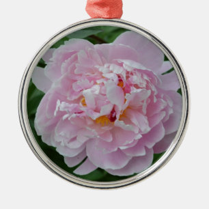 Beautiful Pale Pink Peony Flower - Floral Garden Metal Tree Decoration