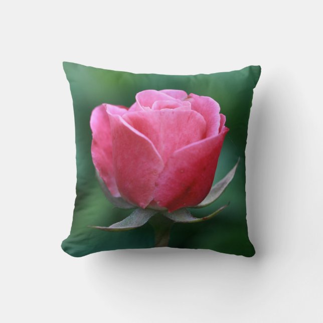 Beautiful Pale Red / Pink Rose Throw Pillow (Front)