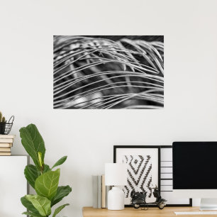 Beautiful palm tree leaves poster