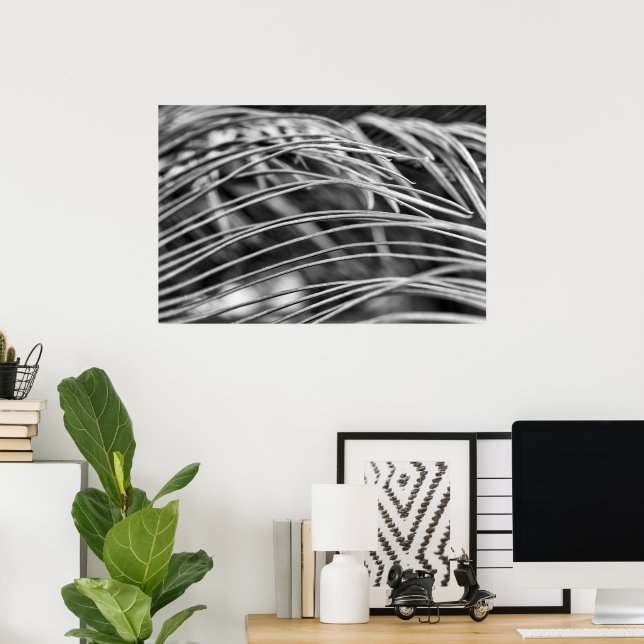 Beautiful palm tree leaves poster (Home Office)