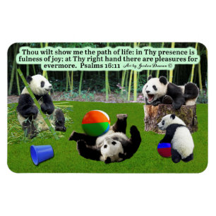 Beautiful Panda Scripture Magnet Psalms 16:11