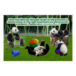 Beautiful Panda Scripture Psalms 16:11: Glossy Poster
