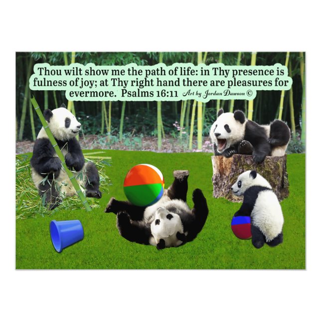 Beautiful Panda Scripture: Psalms 16:11, Photo Print (Front)