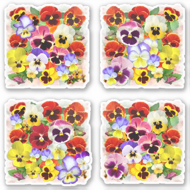 Beautiful Pansies Contour (Front)