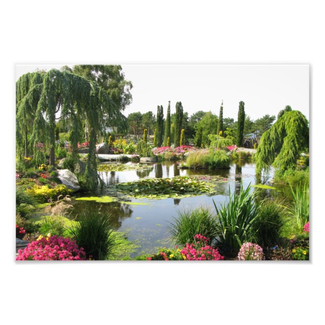 Beautiful Park View Decorative Photo Print (Front)