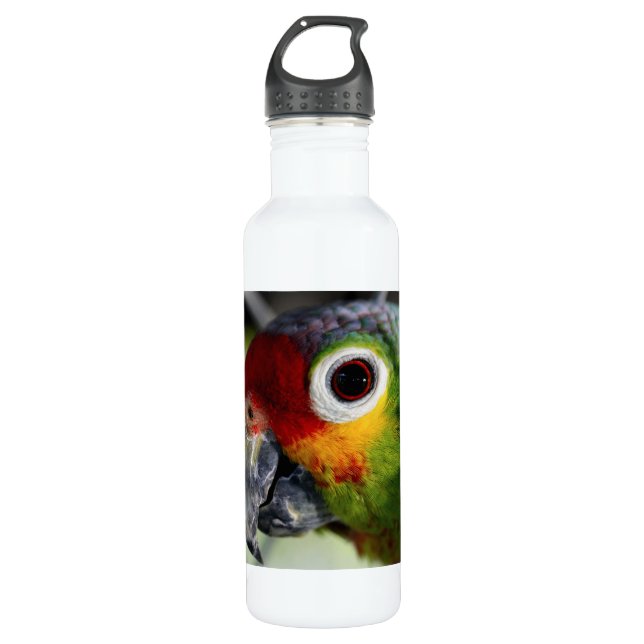 Beautiful Parrot 710 Ml Water Bottle (Front)