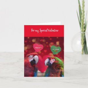 Beautiful Parrots Valentine Greeting Card