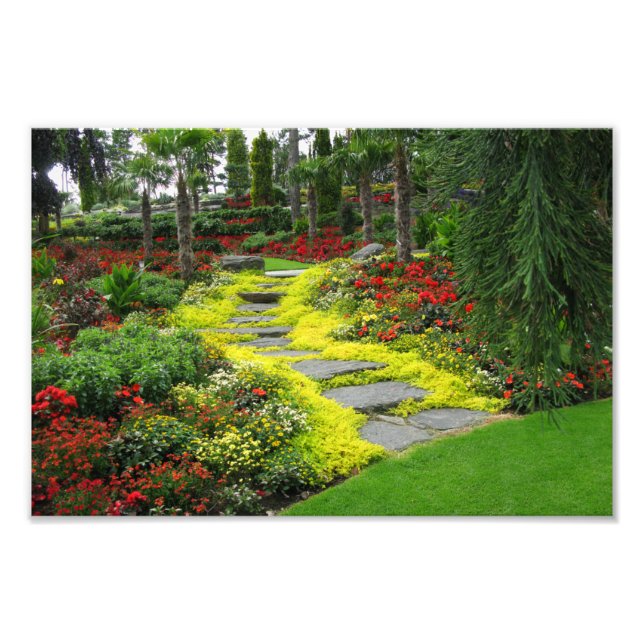 Beautiful Path Park Photo Print (Front)