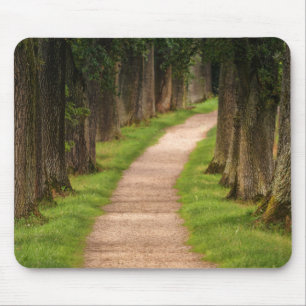 Beautiful Pathway Through the Trees Mouse Pad