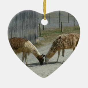 BEAUTIFUL, PEACEFUL, LLAMAS. CERAMIC ORNAMENT