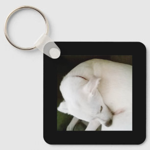 Beautiful Peaceful White Puppy Dog Sleeping Black Key Ring