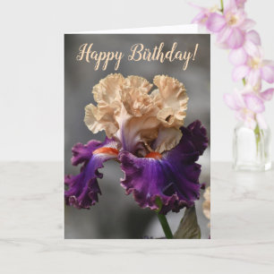 Beautiful Peach and Purple Iris Birthday Card