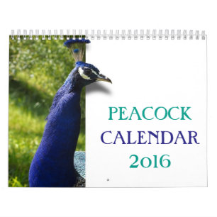 Beautiful Peacock 2016 Calendar