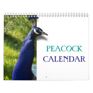 Beautiful Peacock 2026 Calendar