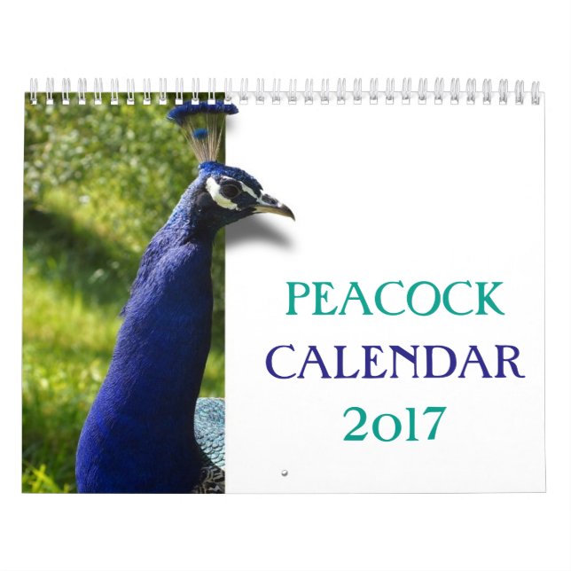 Beautiful Peacock 2026 Calendar (Cover)