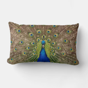 Beautiful peacock and feathers print pillow