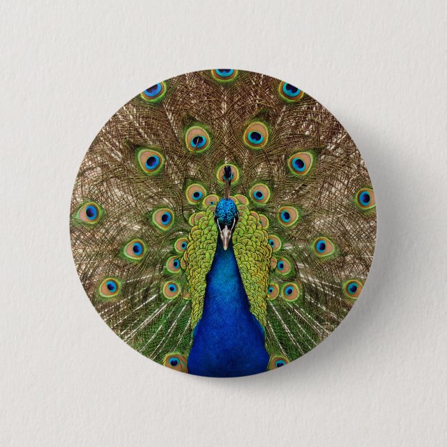 Beautiful peacock and tail feathers print 6 cm round badge (Front)