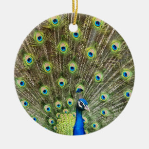 Beautiful peacock bird ceramic ornament