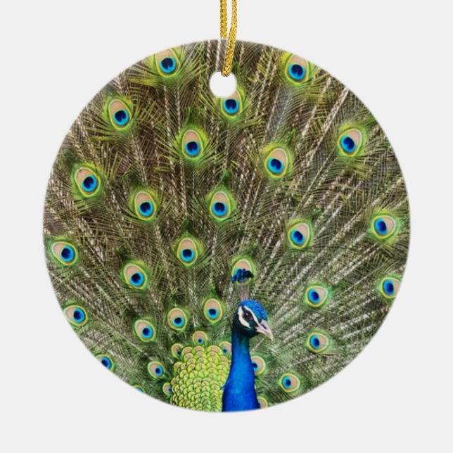 Beautiful peacock bird ceramic ornament (Front)
