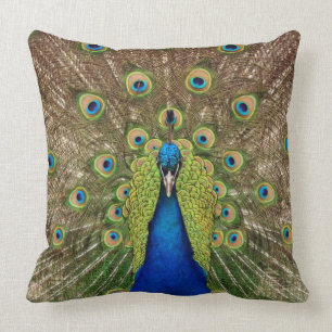 Beautiful peacock cushion