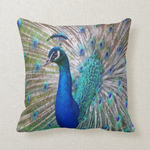 Beautiful Peacock Decorative Throw Pillow