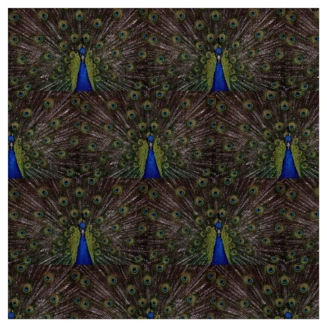 Beautiful Peacock Fabric (Swatch)