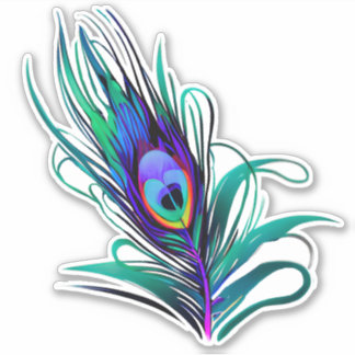 Beautiful Peacock Feather