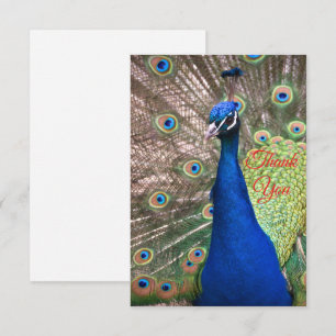 Beautiful peacock feather background thank you card