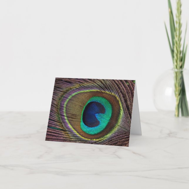 Beautiful Peacock Feather Card (Front)
