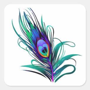 Beautiful Peacock Feather Square Sticker
