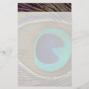Beautiful Peacock Feather Stationery