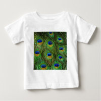 Beautiful Peacock Feathers