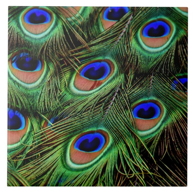 Beautiful Peacock Feathers  Ceramic Tile (Front)