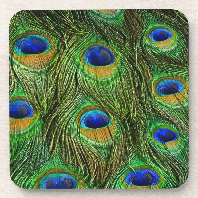 Beautiful Peacock Feathers Coaster (Front)