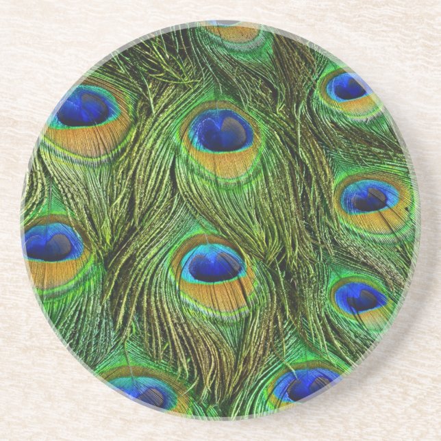 Beautiful Peacock Feathers Coaster (Front)