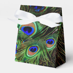 Beautiful Peacock Feathers Favour Box