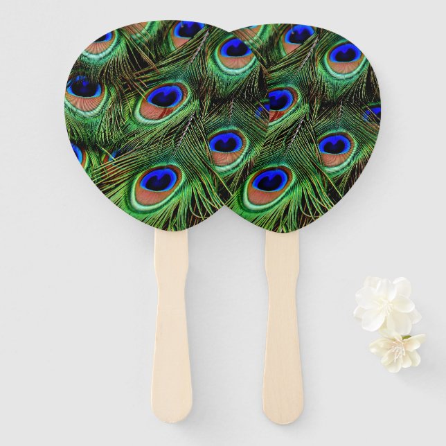 Beautiful Peacock Feathers  Hand Fan (Front and Back)