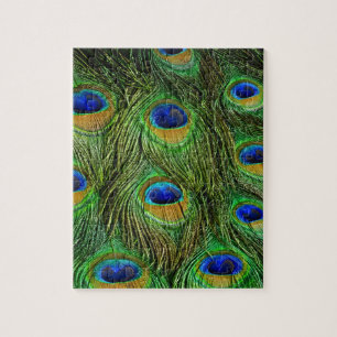 Beautiful Peacock Feathers Jigsaw Puzzle