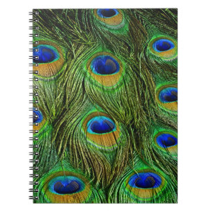 Beautiful Peacock Feathers Notebook