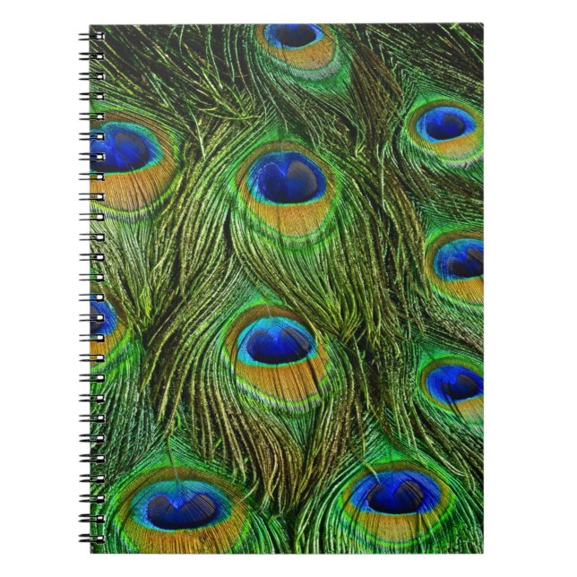 Beautiful Peacock Feathers Notebook (Front)