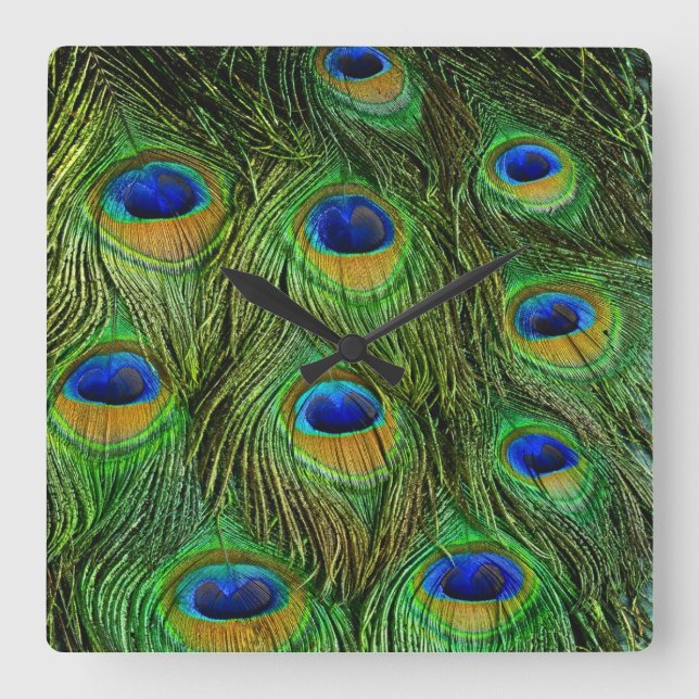 Beautiful Peacock Feathers Square Wall Clock (Front)