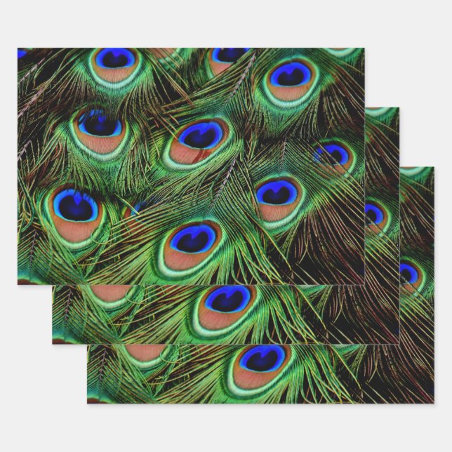 Beautiful Peacock Feathers  Wrapping Paper Sheet (Set)