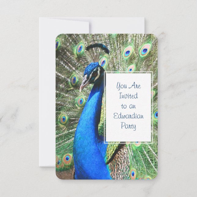 Beautiful Peacock Invitation (Front)