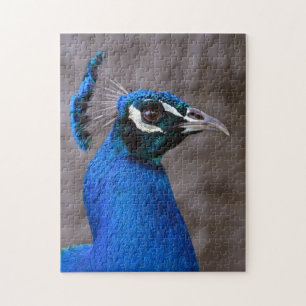 Beautiful peacock jigsaw puzzle