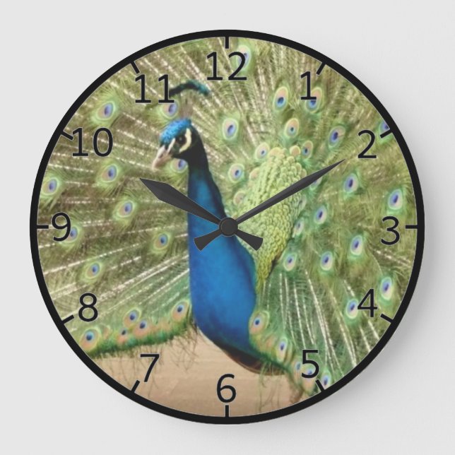 Beautiful Peacock Large Clock (Front)