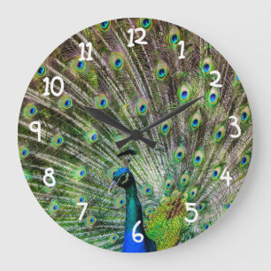 Beautiful Peacock Large Clock