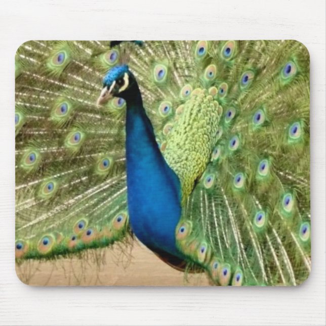Beautiful Peacock Mouse Pad (Front)