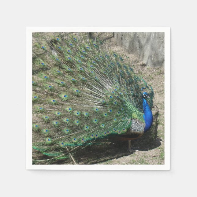Beautiful Peacock Napkin (Front)