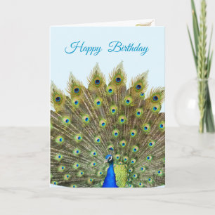 Beautiful Peacock on Light Blue Birthday Note Card